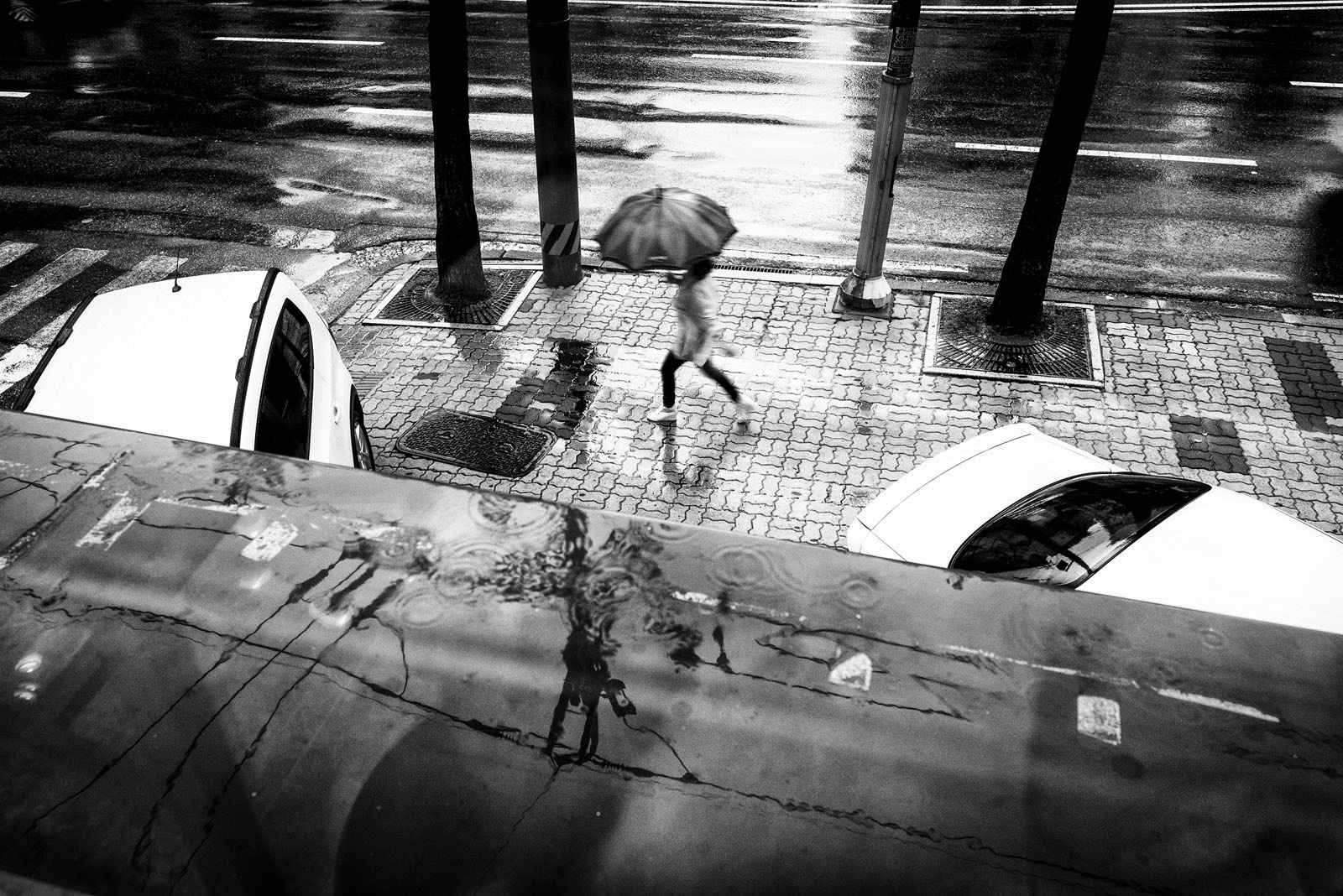 Raindrops, Seoul, South Korea, 2013