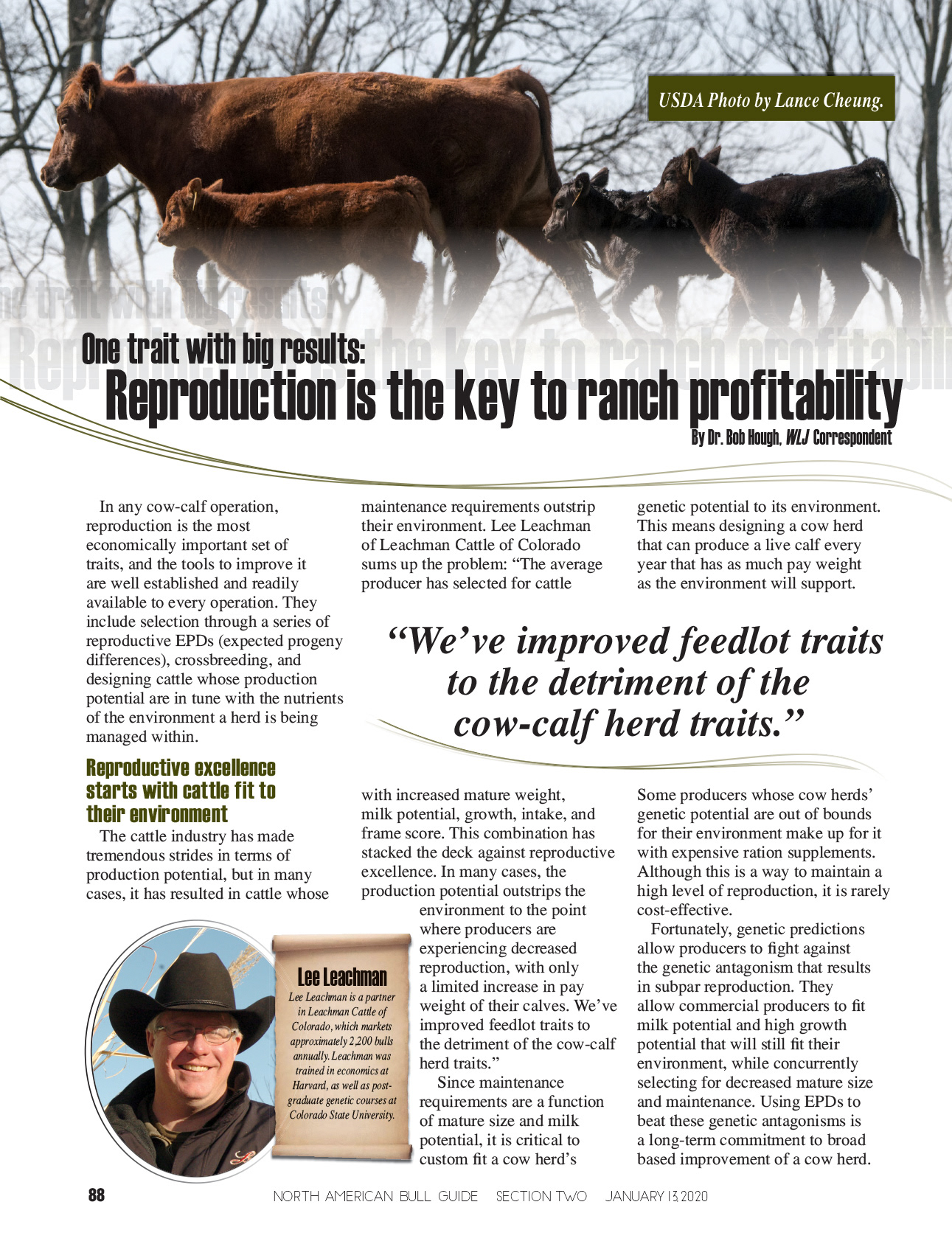 2020 Bull Guide Magazine - Editorial Layout