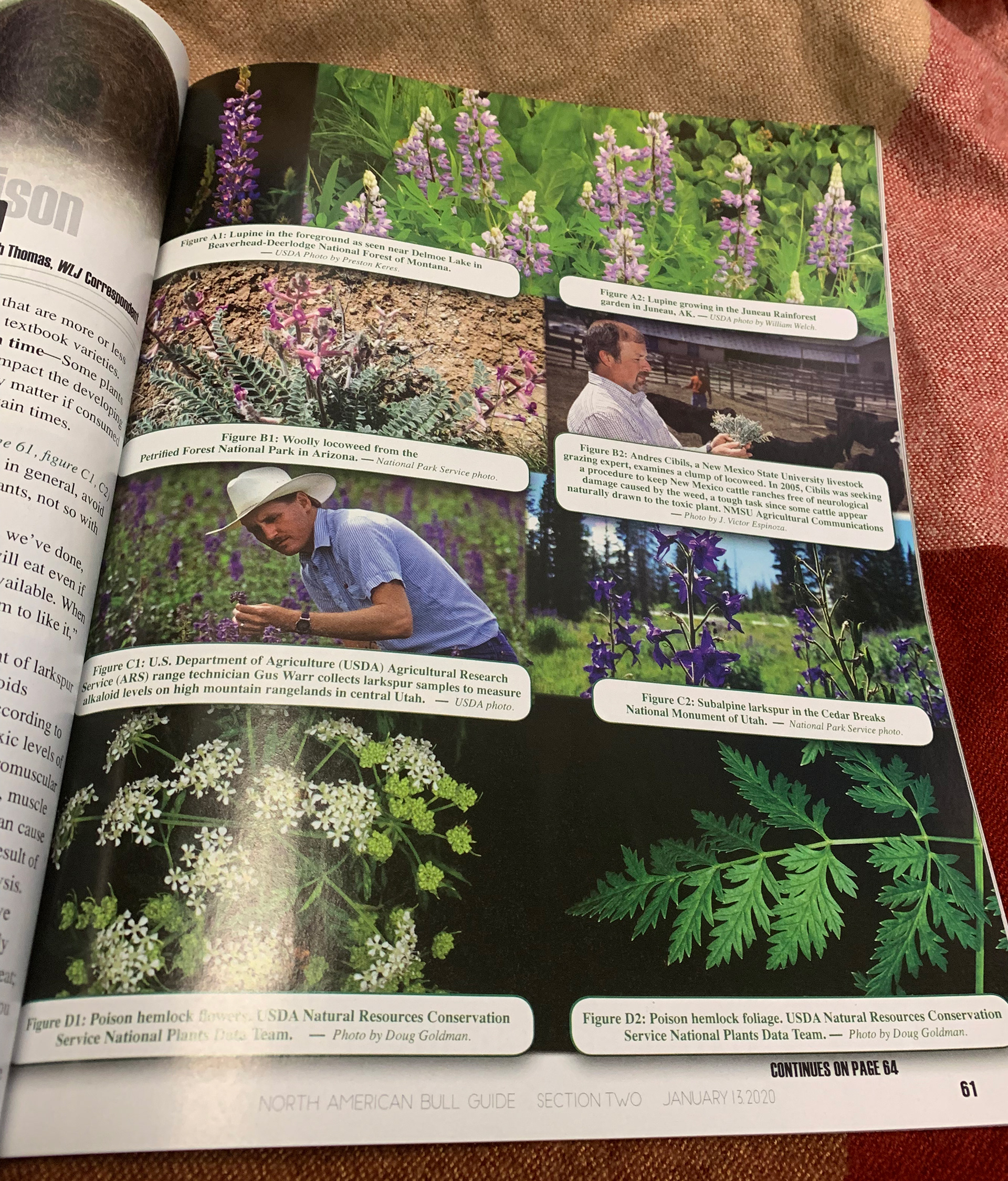 2020 Bull Guide Magazine - Printed Sample