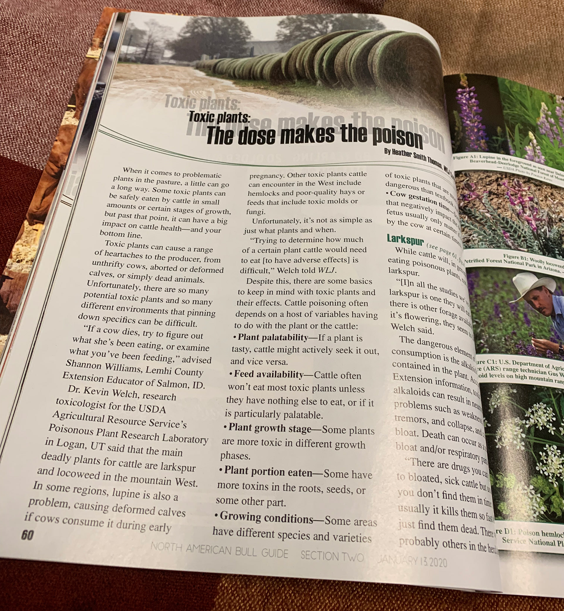 2020 Bull Guide Magazine - Printed Sample