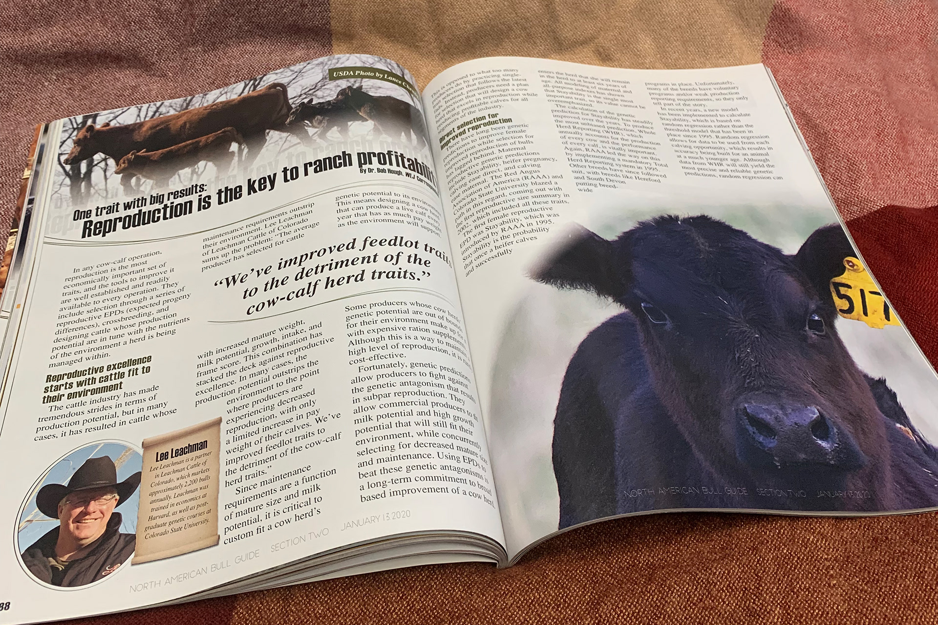2020 Bull Guide Magazine - Printed Sample