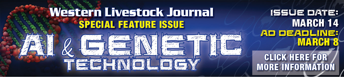 Special Section Newsletter Banner ad