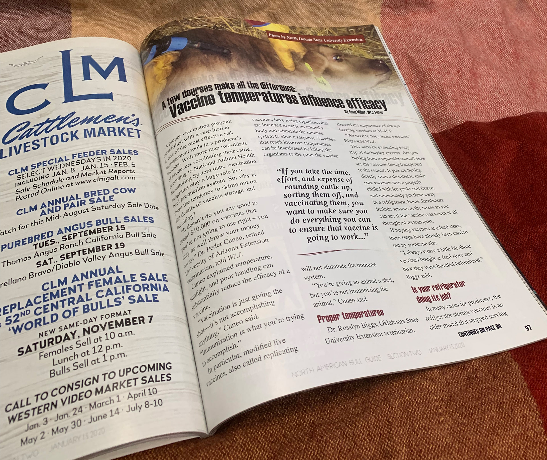 2020 Bull Guide Magazine - Printed Sample