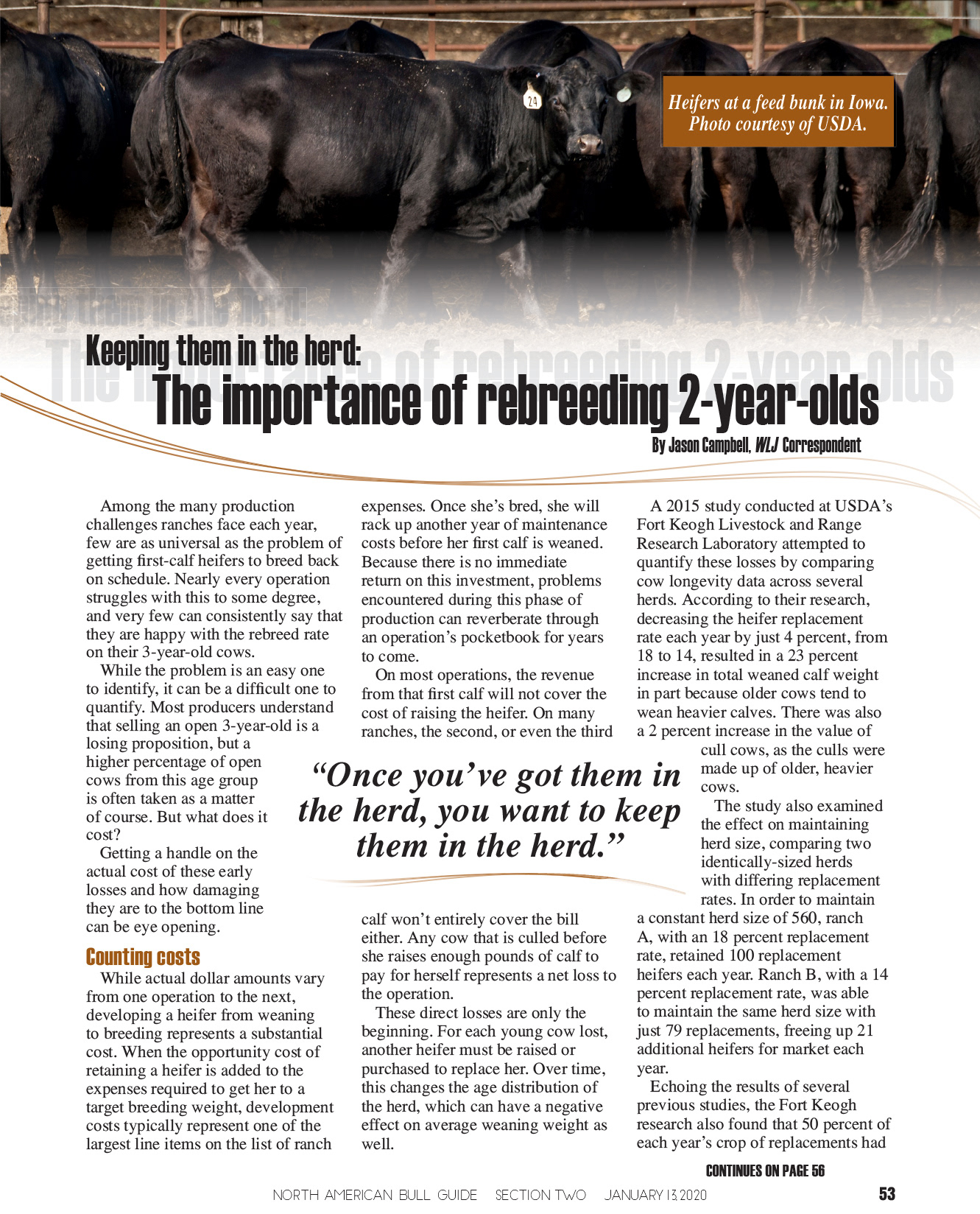 2020 Bull Guide Magazine - Editorial Layout