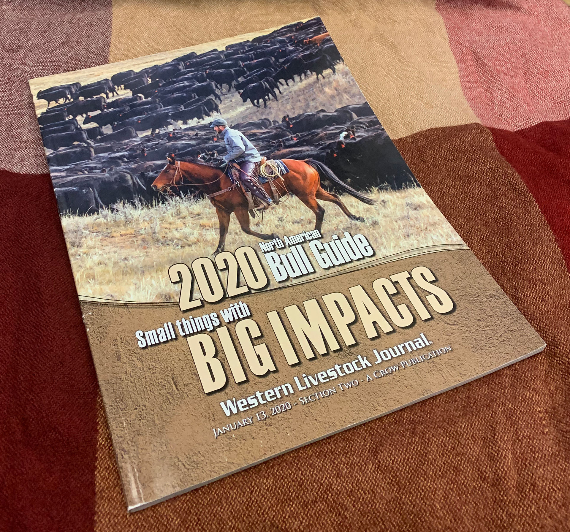 2020 Bull Guide Magazine - Printed Sample