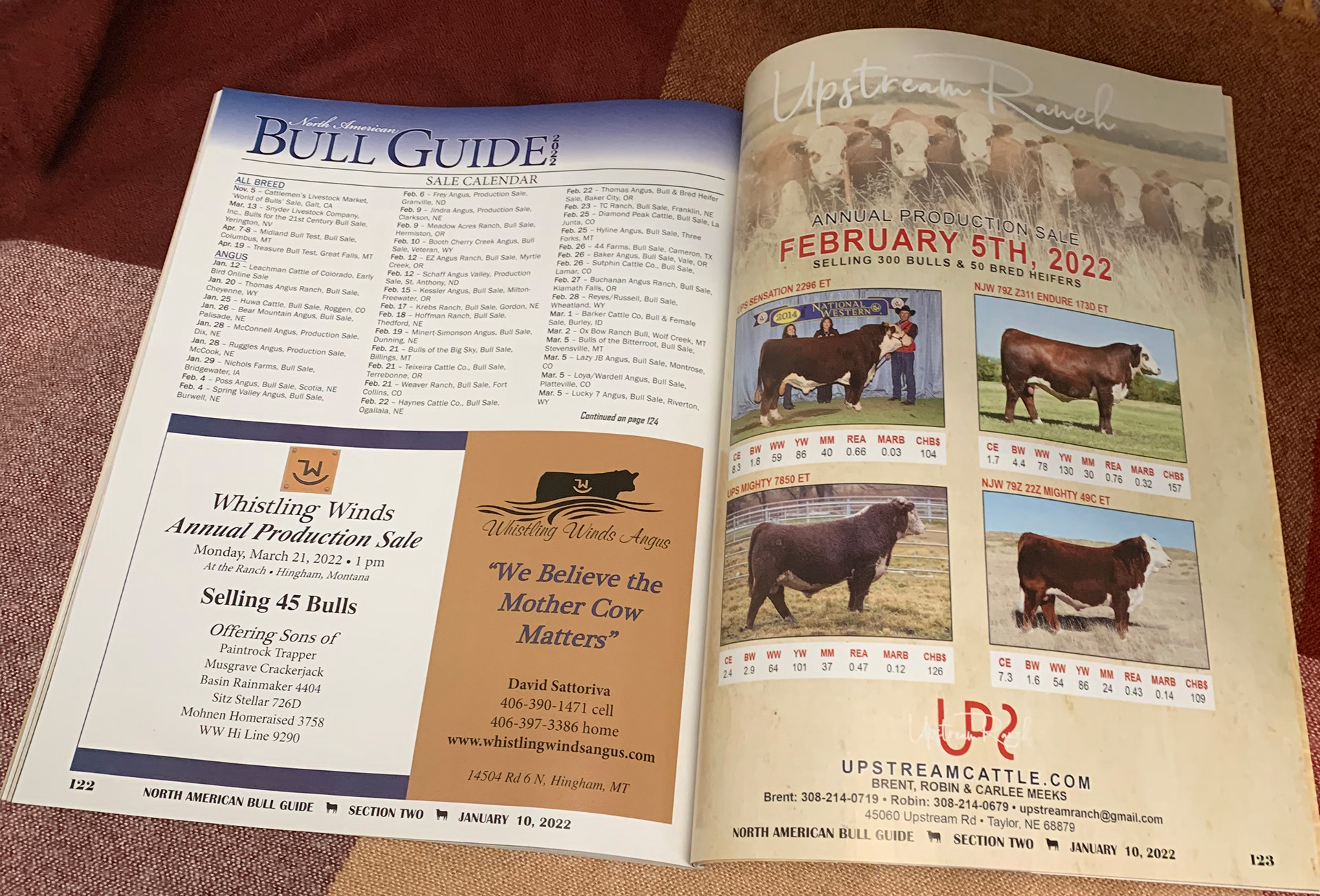 2022 Bull Guide Magazine - Printed Sample