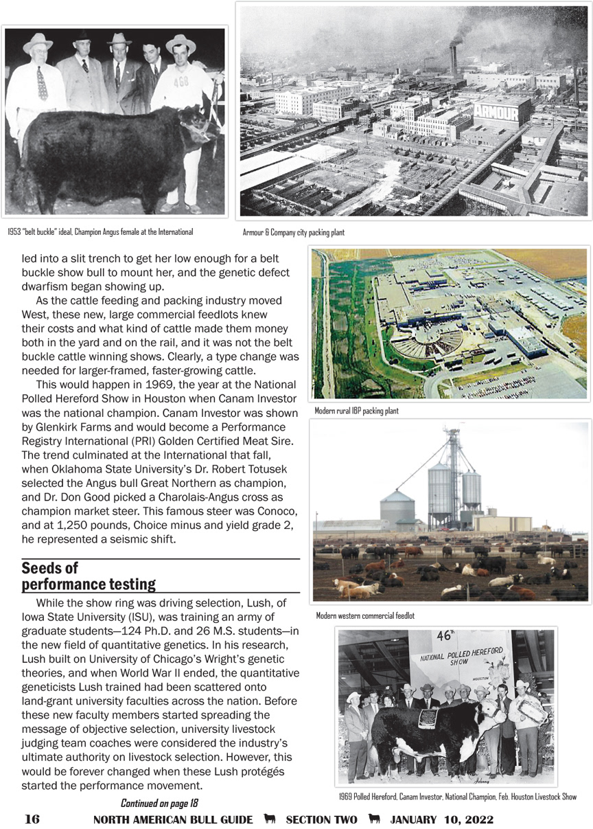 2022 Bull Guide Magazine - Editorial Design