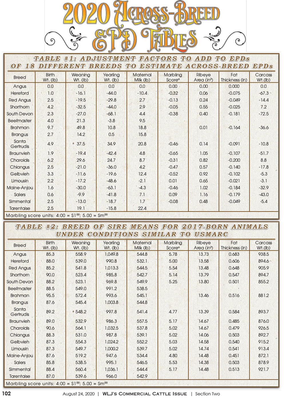 2020 Commercial Cattle Magazine - Editorial Layout