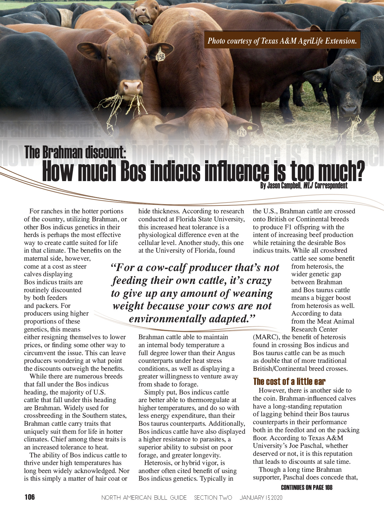 2020 Bull Guide Magazine - Editorial Layout