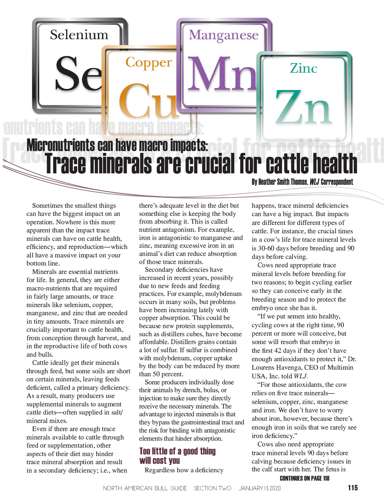 2020 Bull Guide Magazine - Editorial Layout