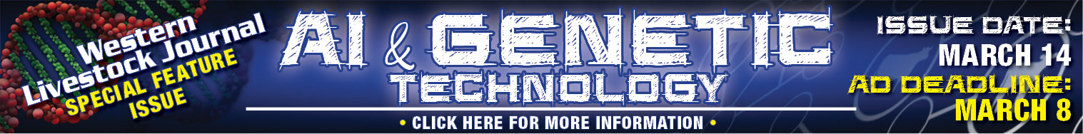 Special Section Web Banner Ad