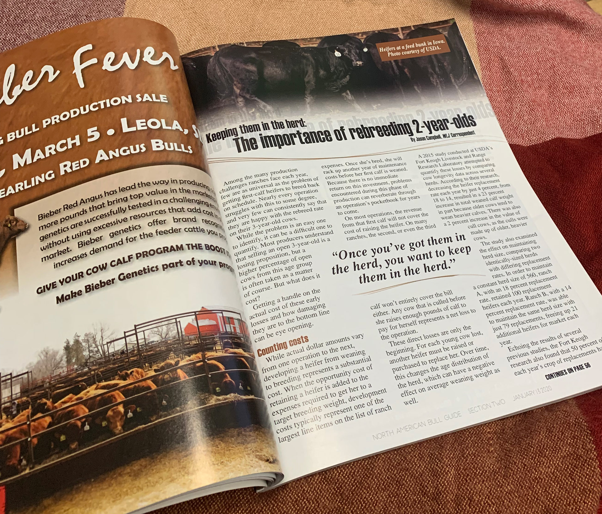 2020 Bull Guide Magazine - Printed Sample