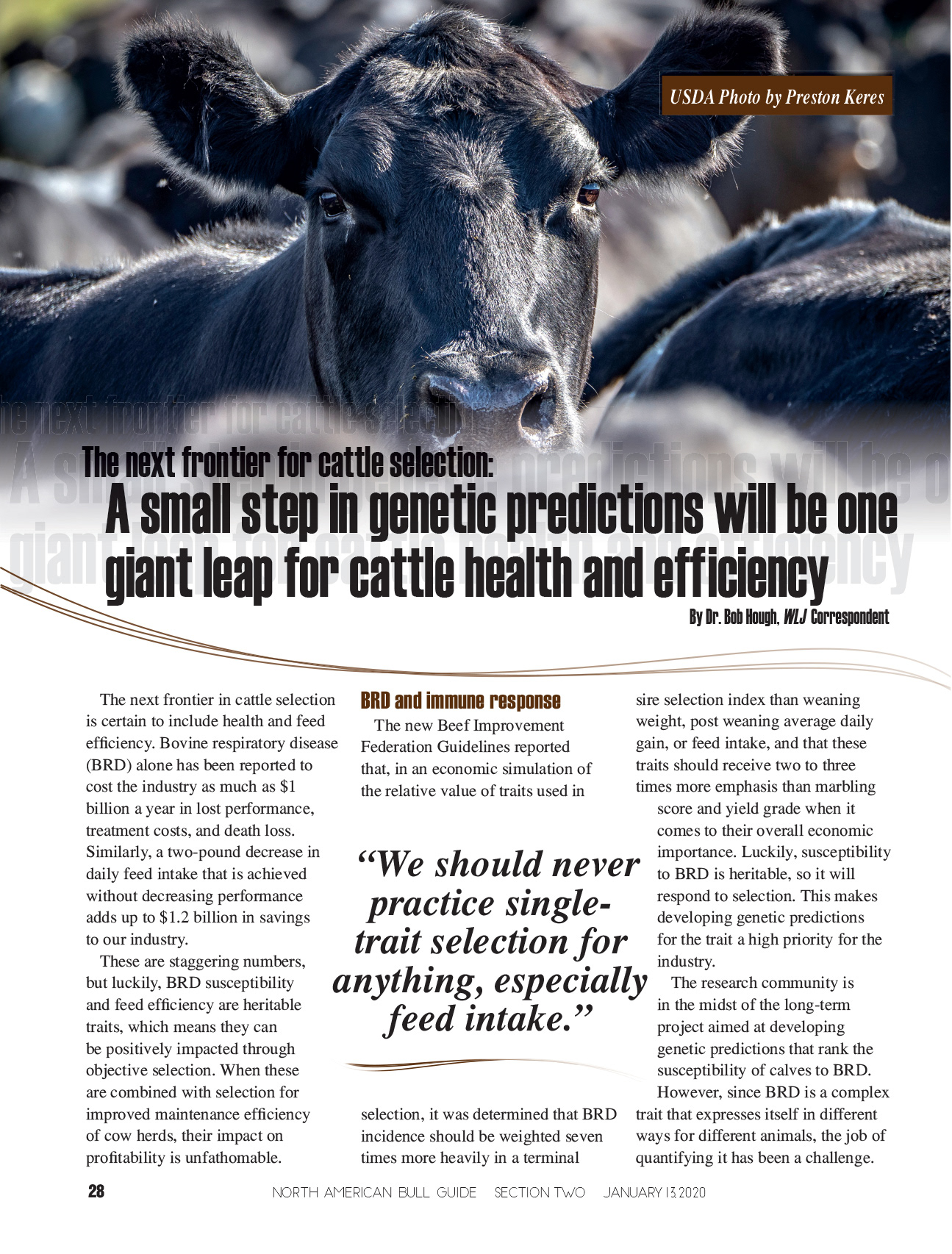 2020 Bull Guide Magazine - Editorial Layout