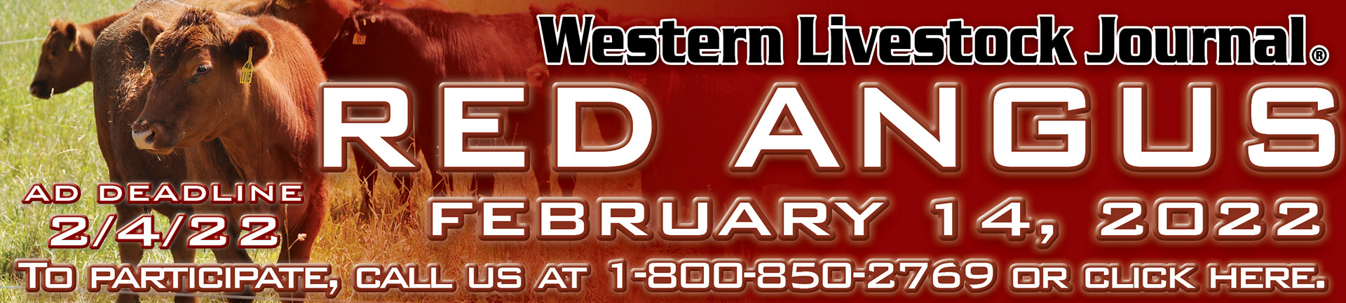 Special Section Web Banner Ad