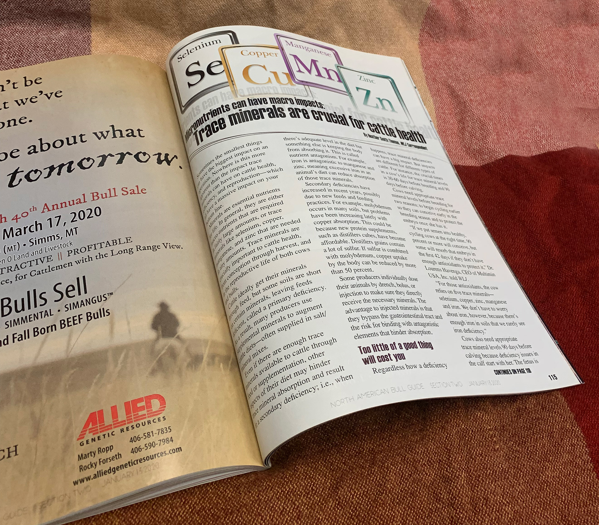 2020 Bull Guide Magazine - Printed Sample