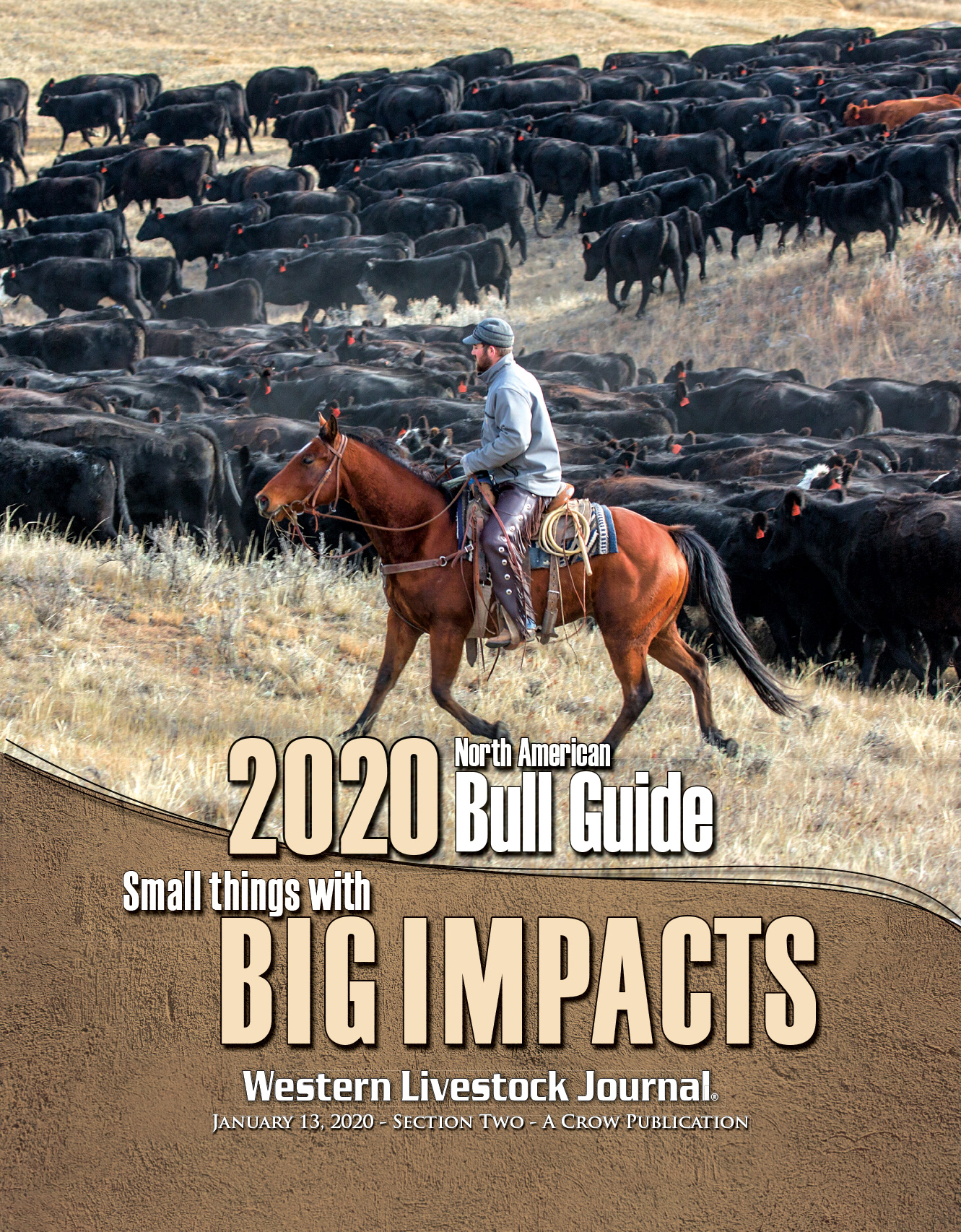 2020 Bull Guide Magazine