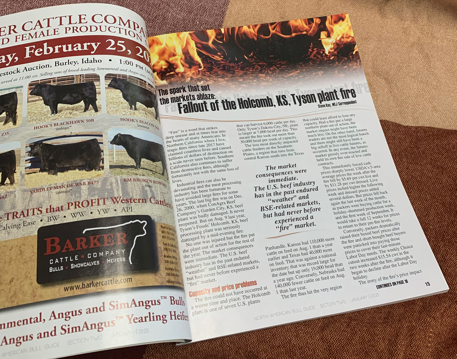 2020 Bull Guide Magazine - Printed Sample