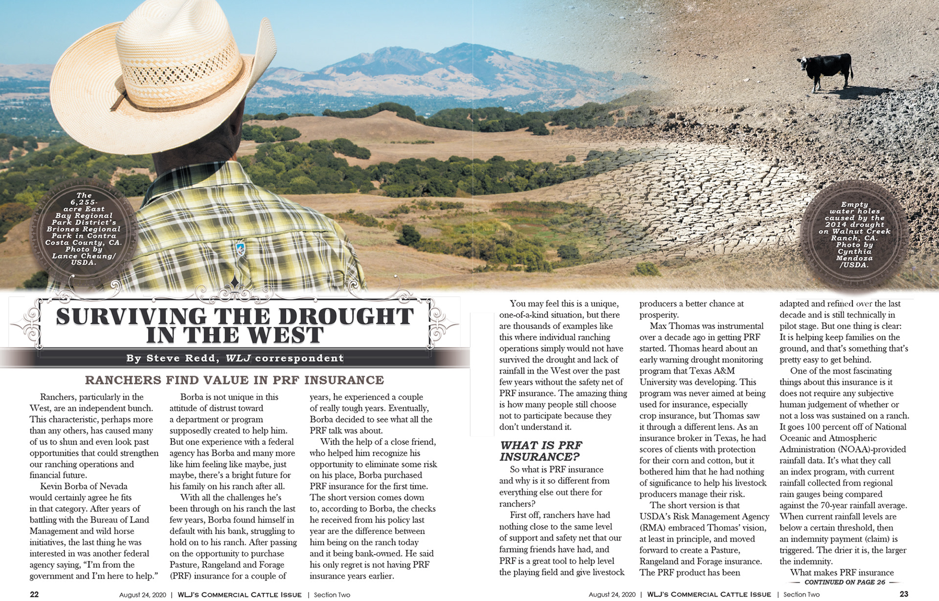 2020 Commercial Cattle Magazine - Editorial Spread Layout