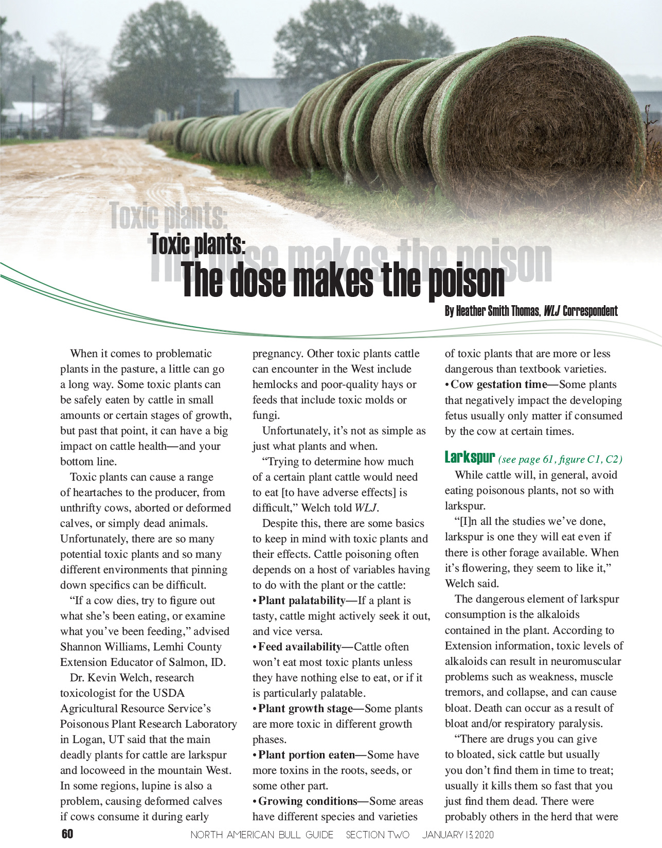 2020 Bull Guide Magazine - Editorial Layout