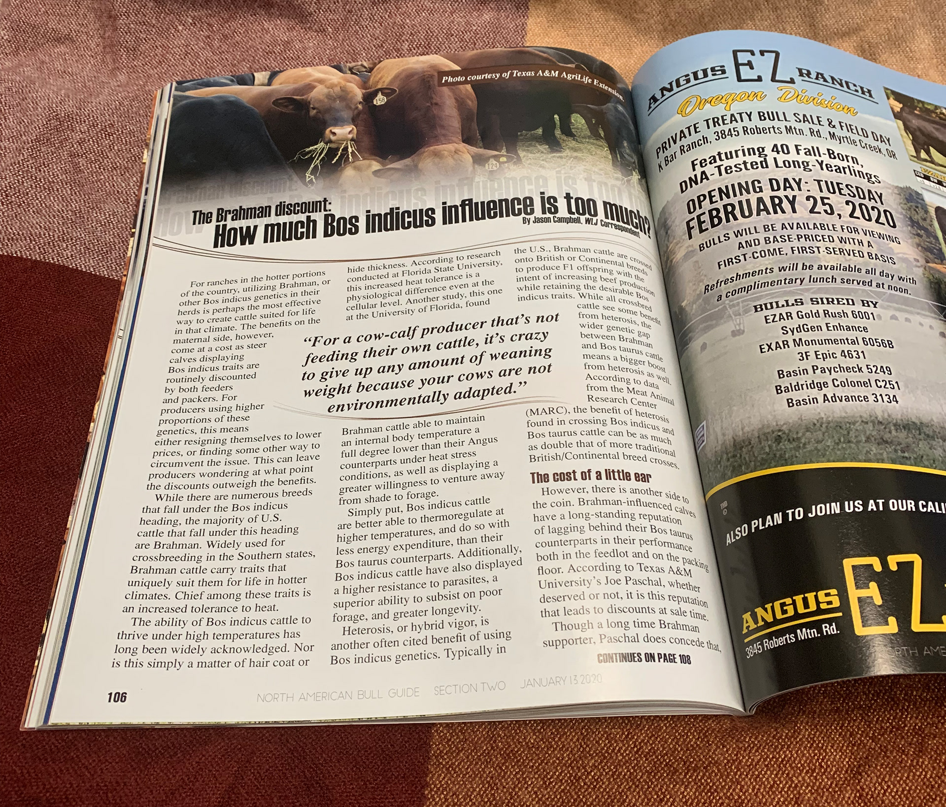 2020 Bull Guide Magazine - Printed Sample