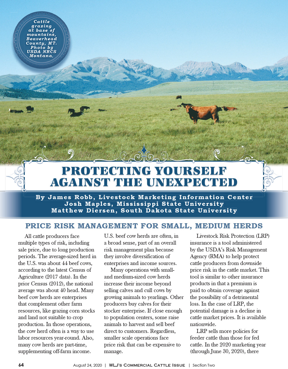 2020 Commercial Cattle Magazine - Editorial Layout