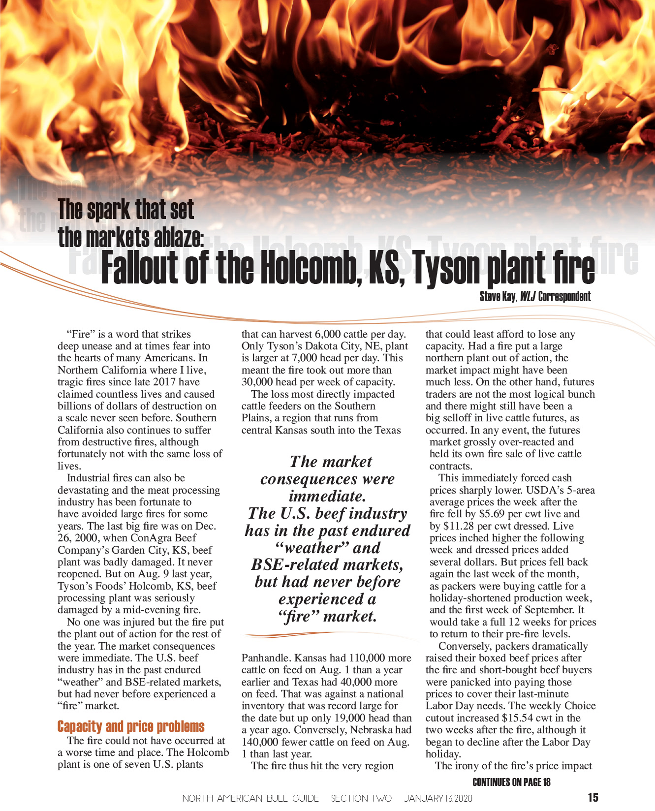 2020 Bull Guide Magazine - Editorial Layout
