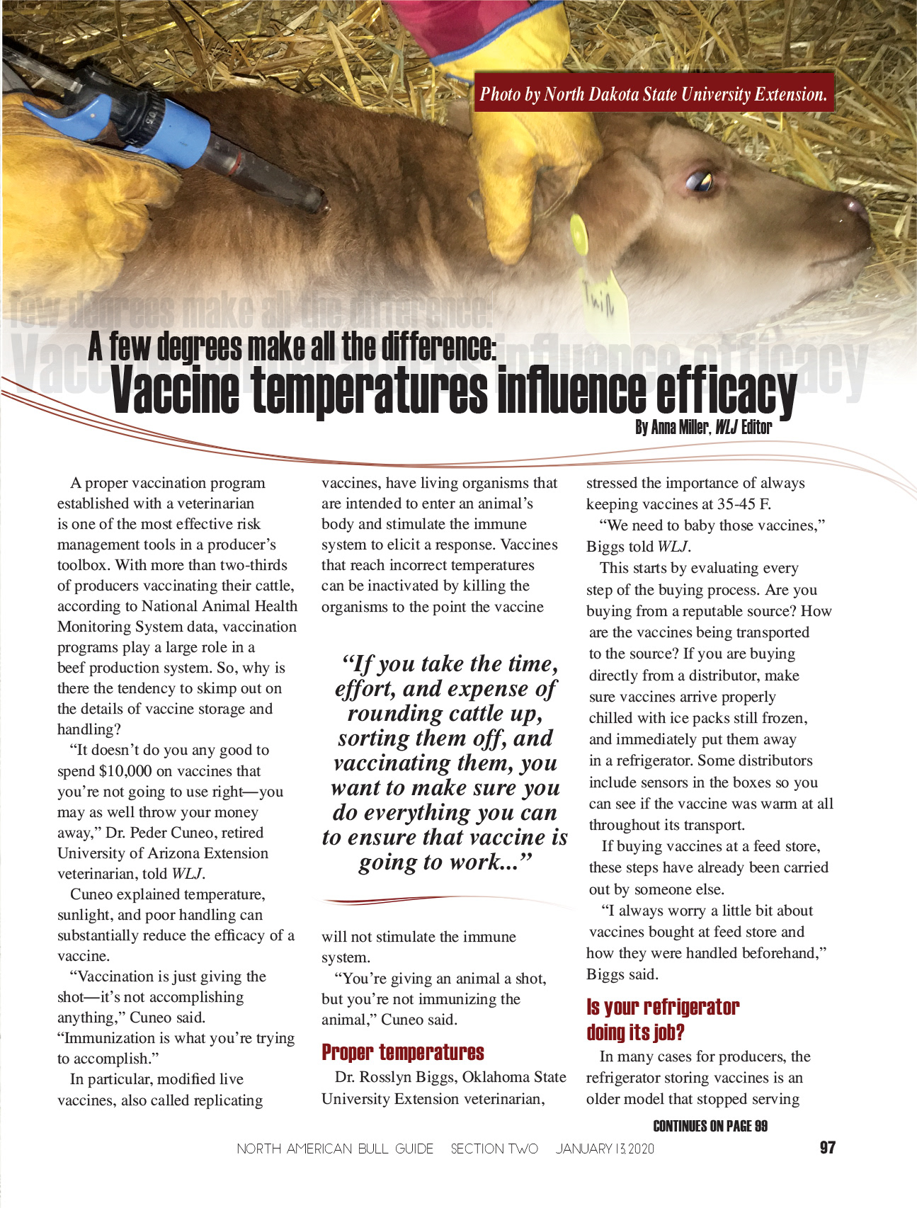 2020 Bull Guide Magazine - Editorial Layout