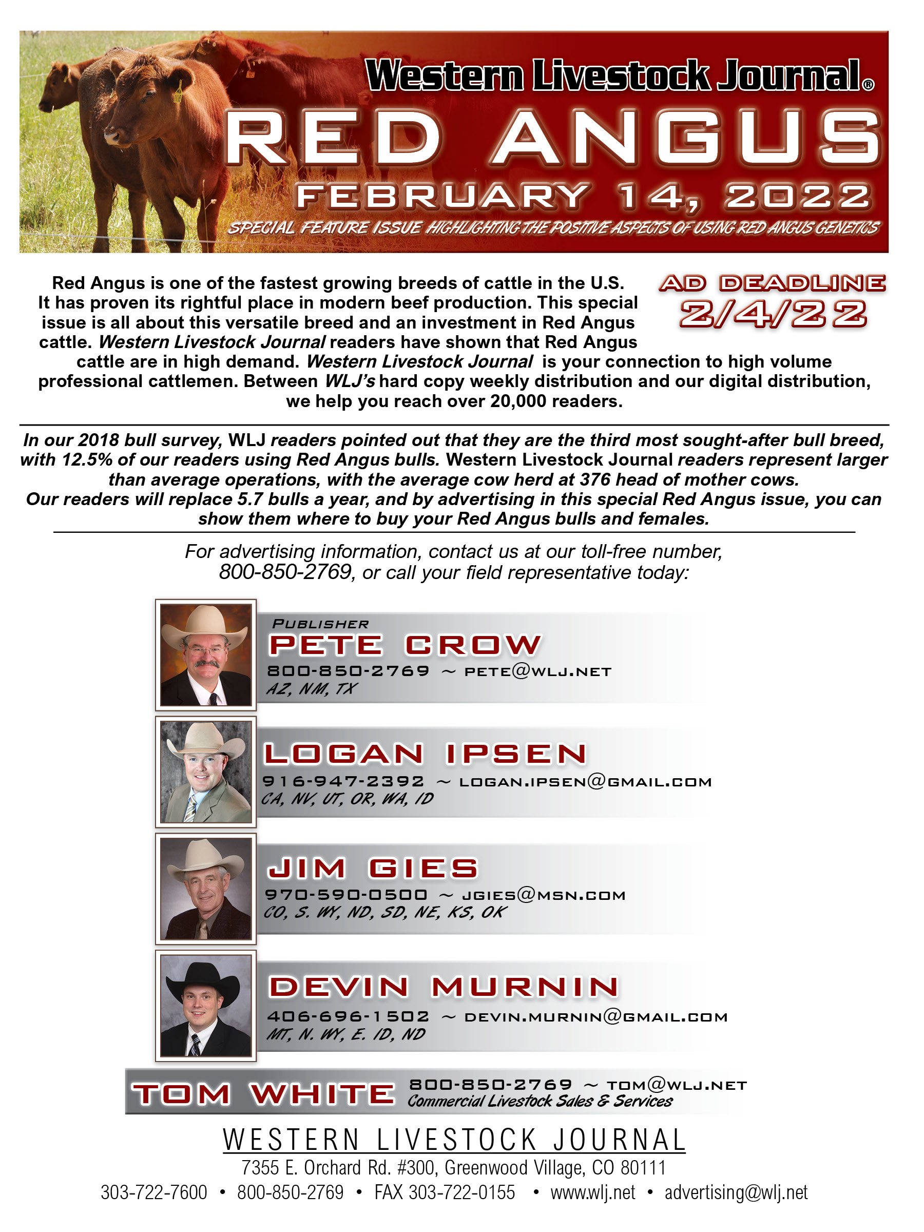 Special Section Eblast