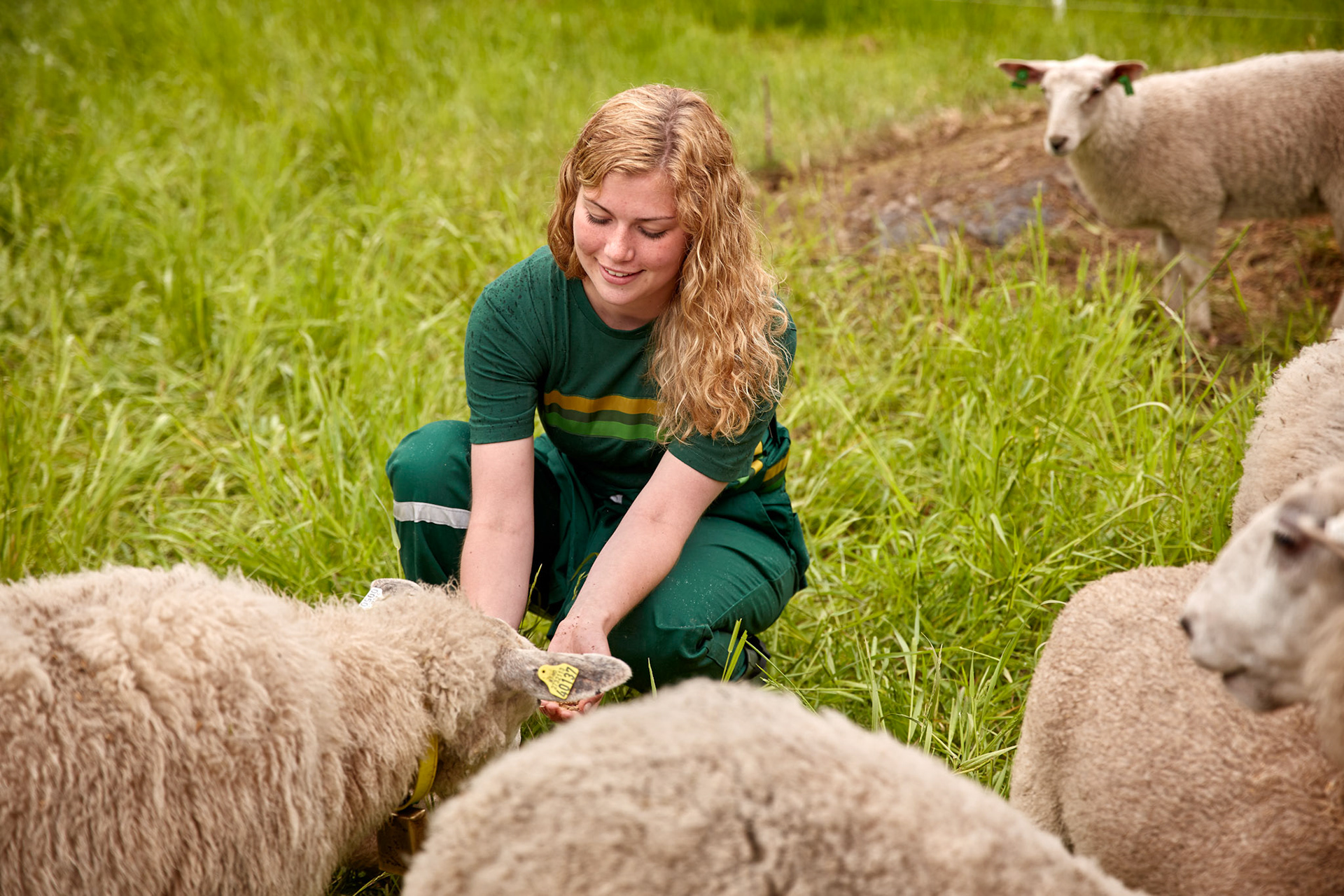 Corporate photography on agriculture in Norway