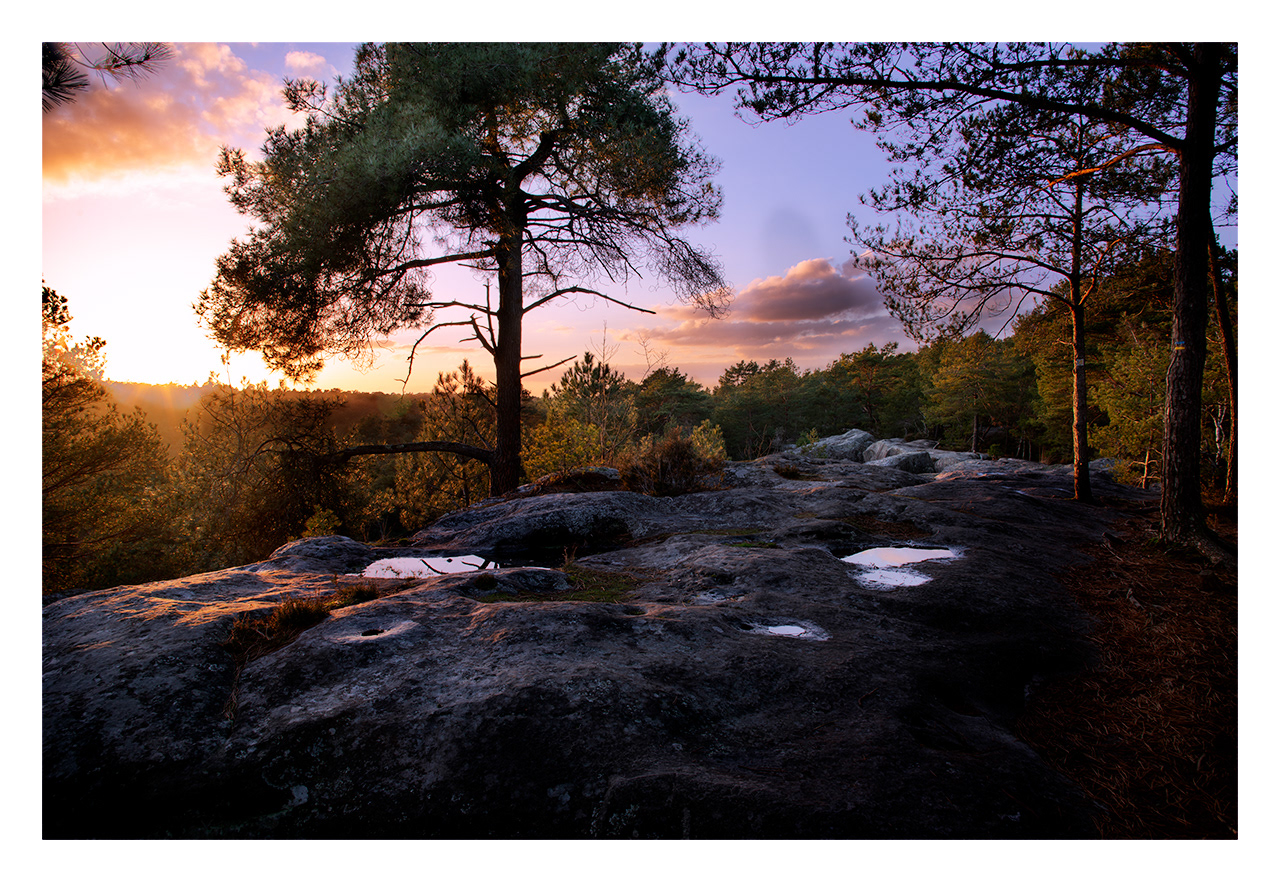 Forêt de Fontainebleau