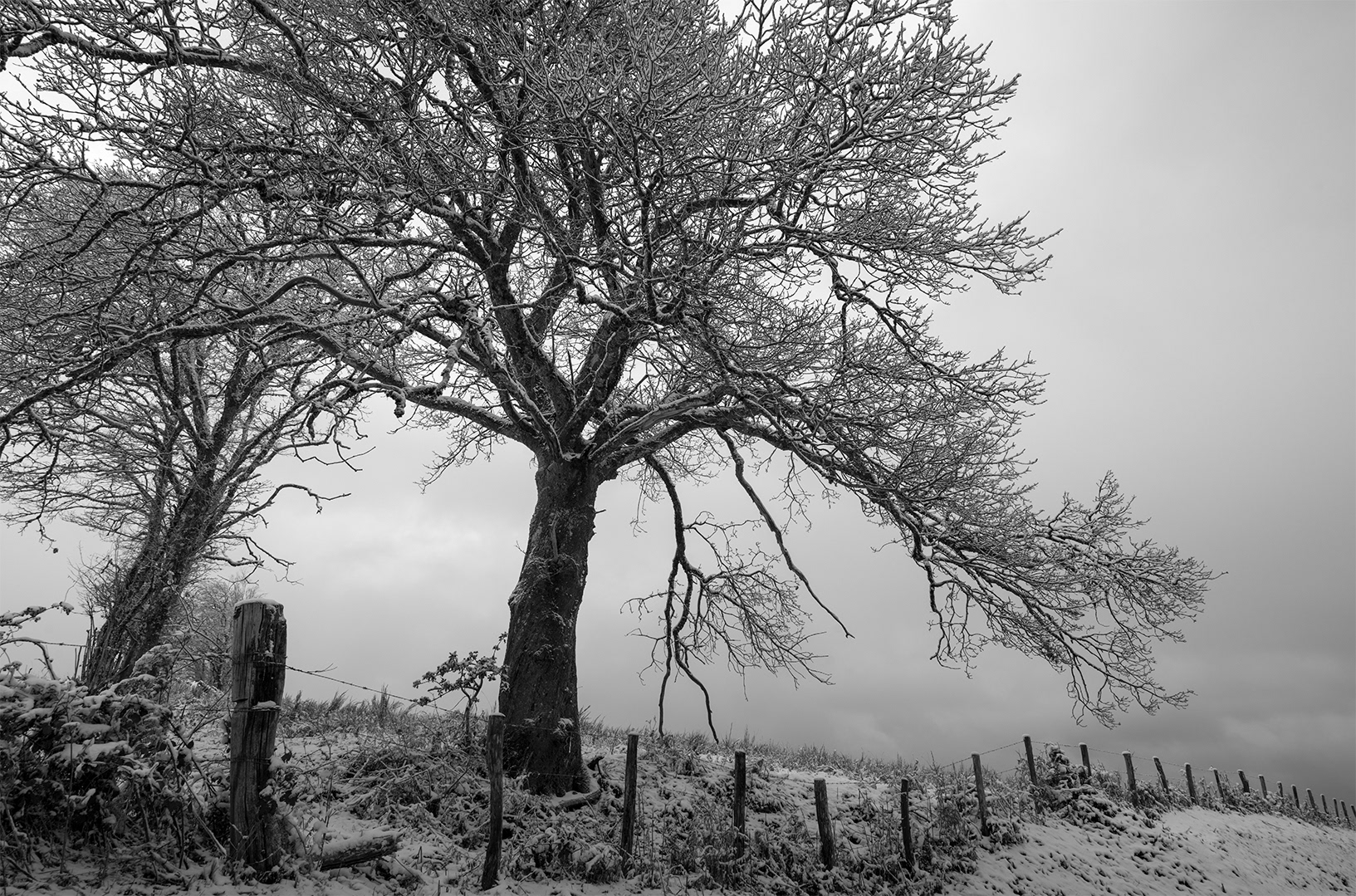 Parc Naturel Régional du Morvan
