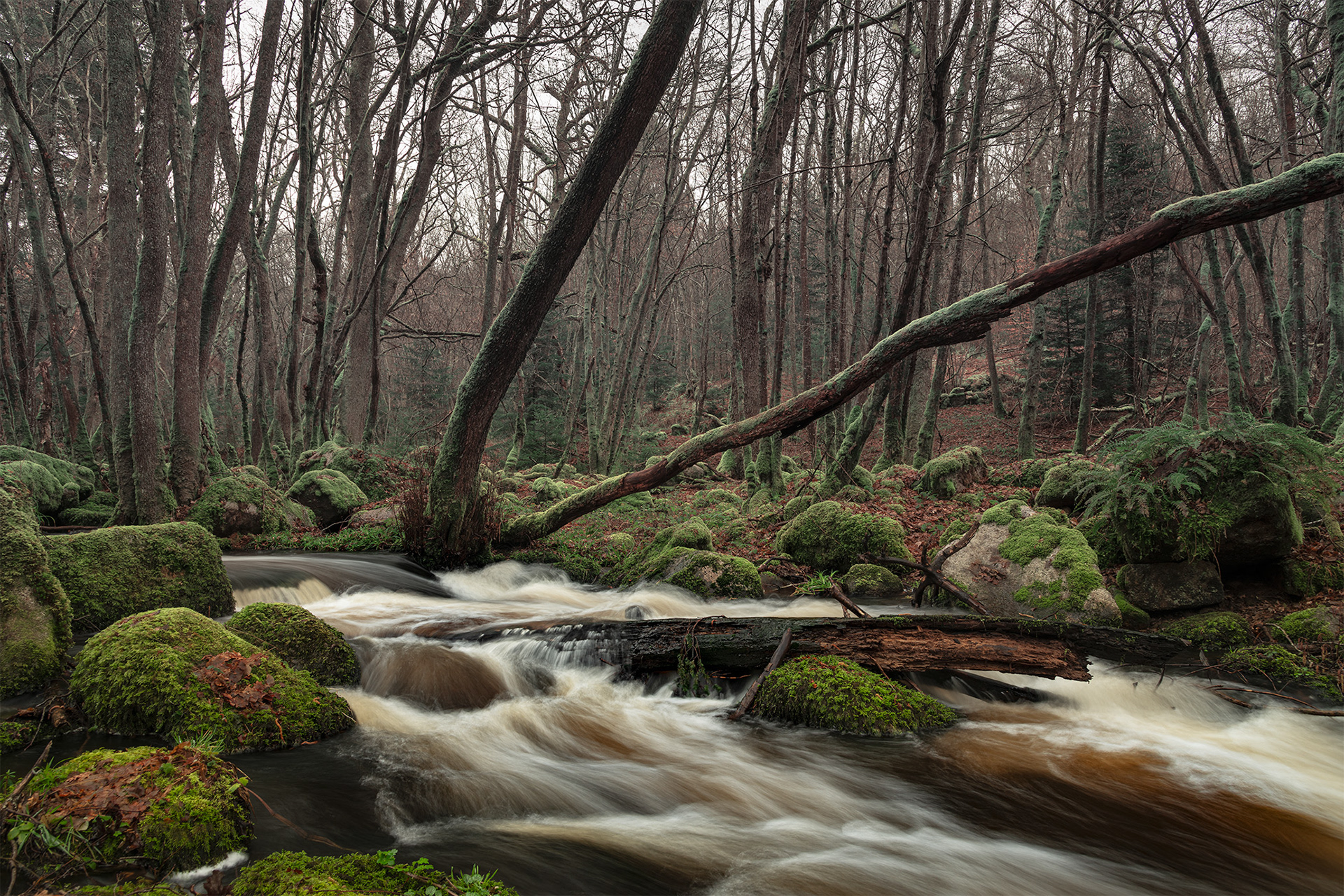 Parc Naturel Régional du Morvan