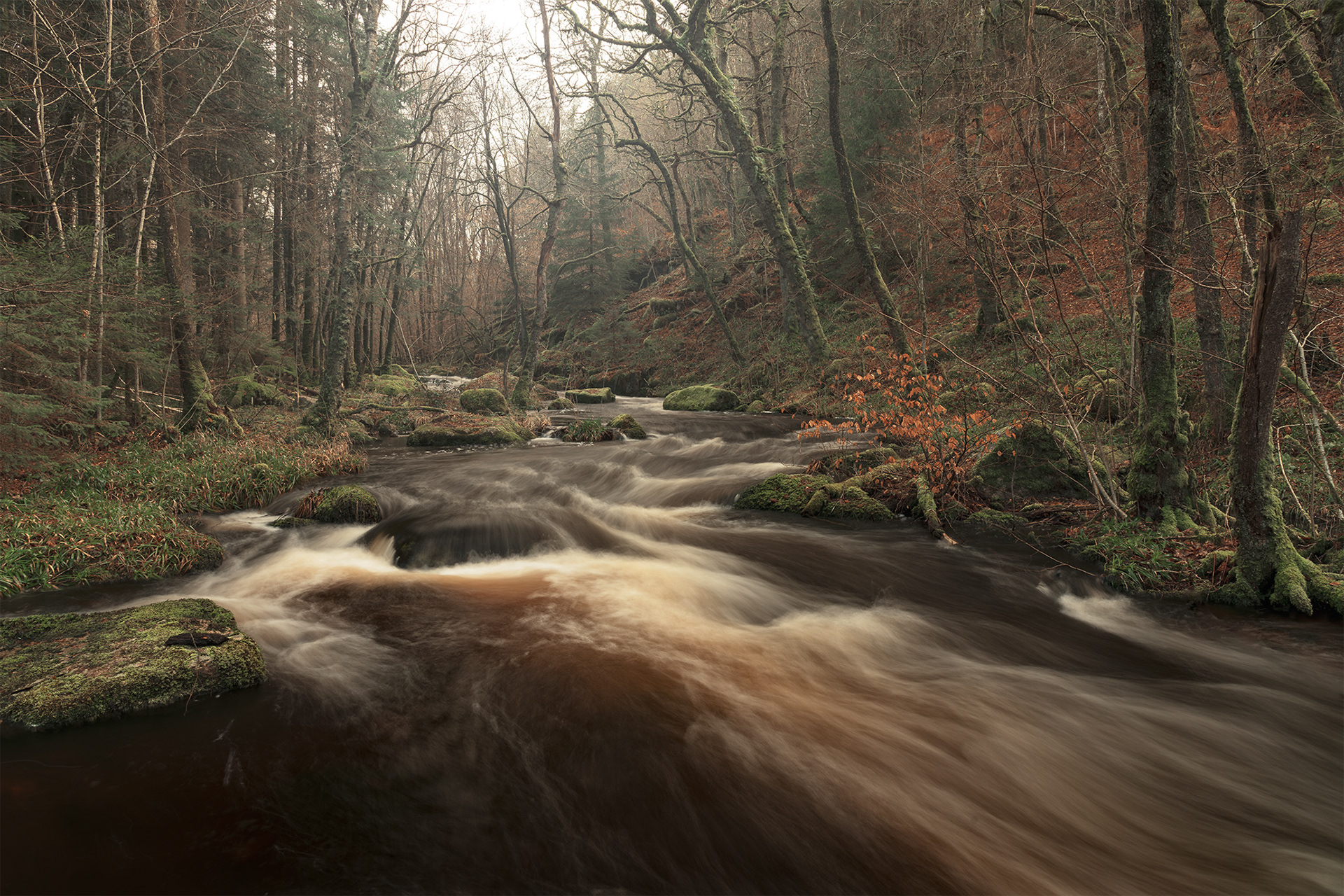 Parc Naturel Régional du Morvan