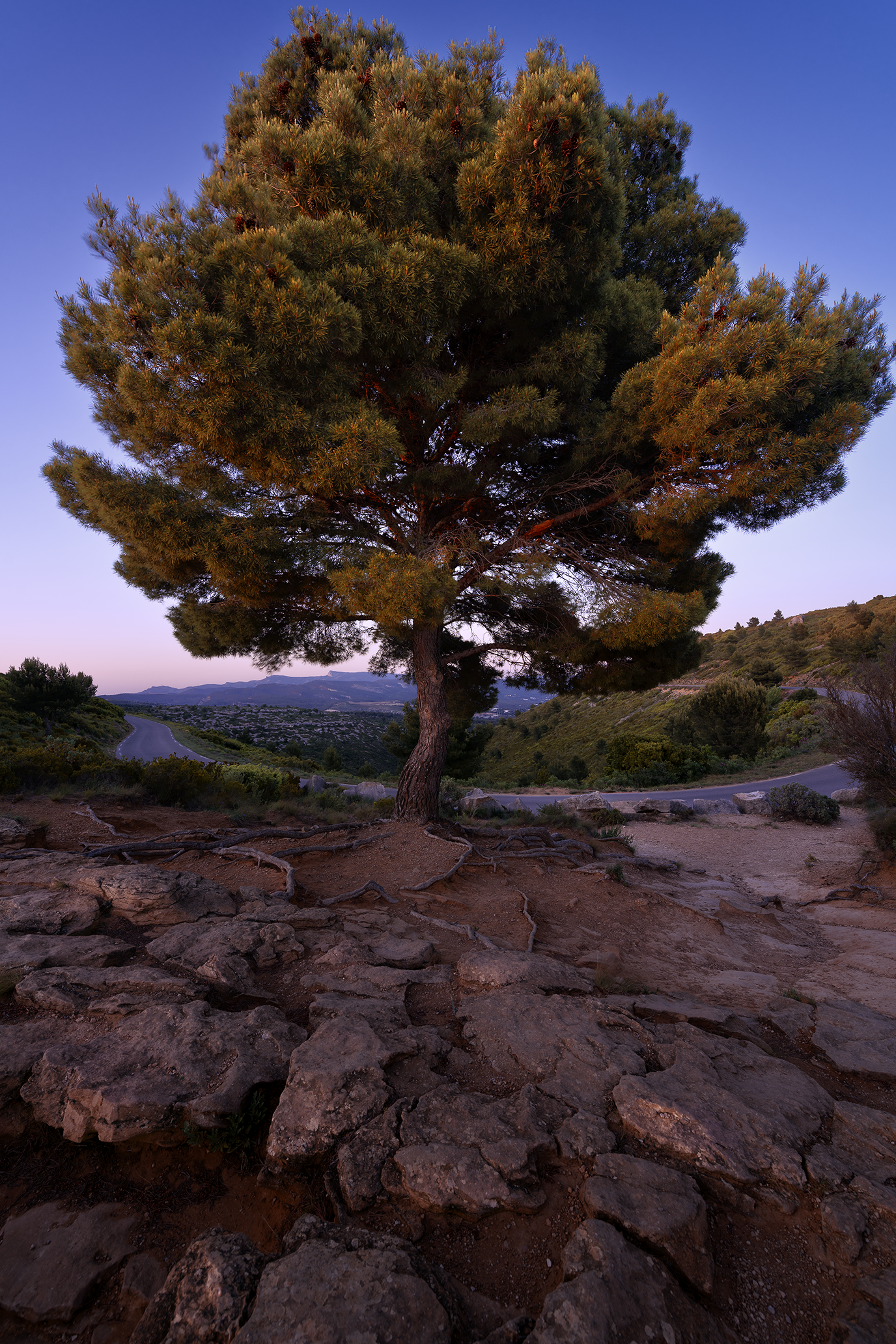 Route des crêtes - Cassis