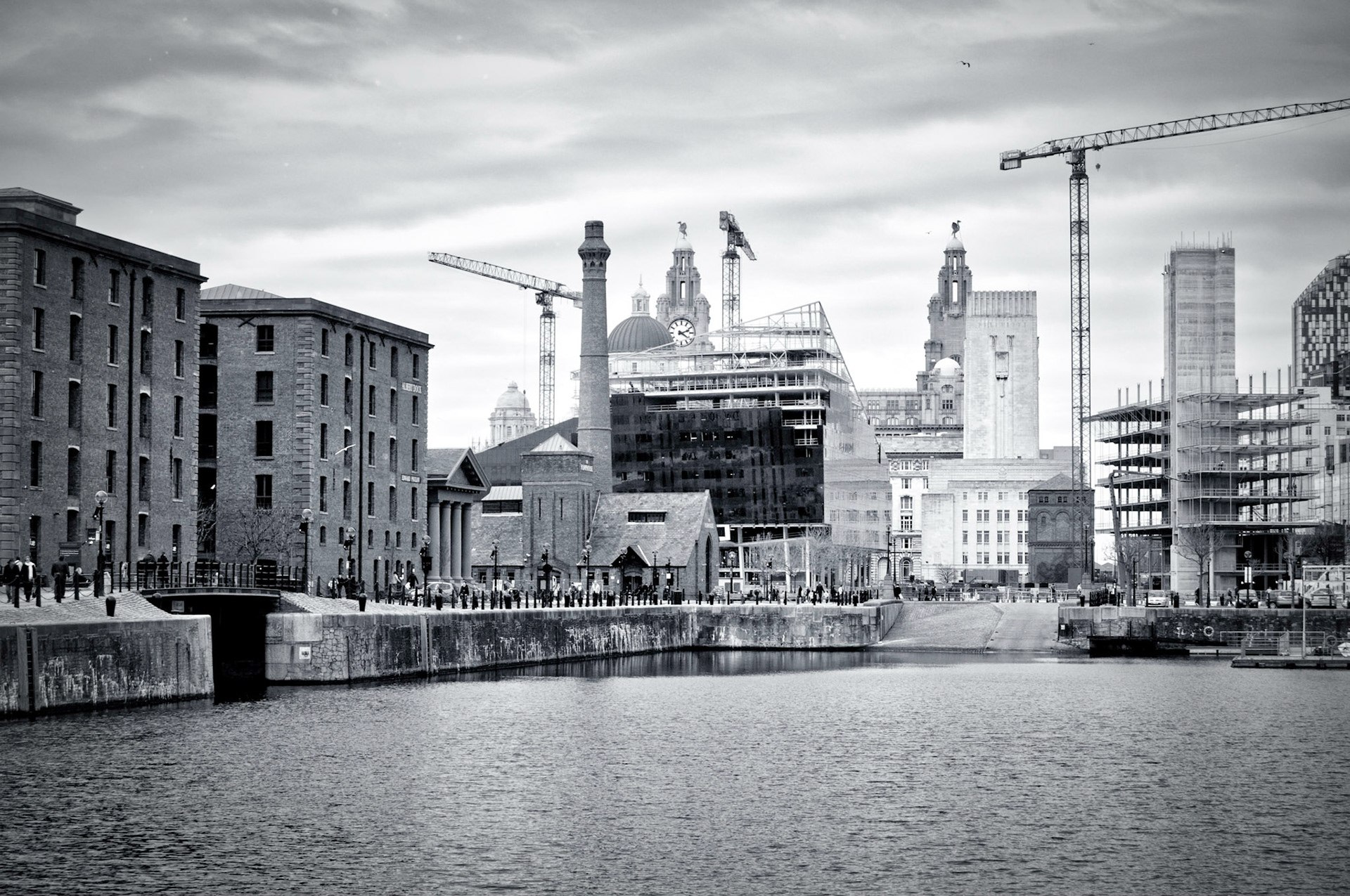 © stuart chard 2010