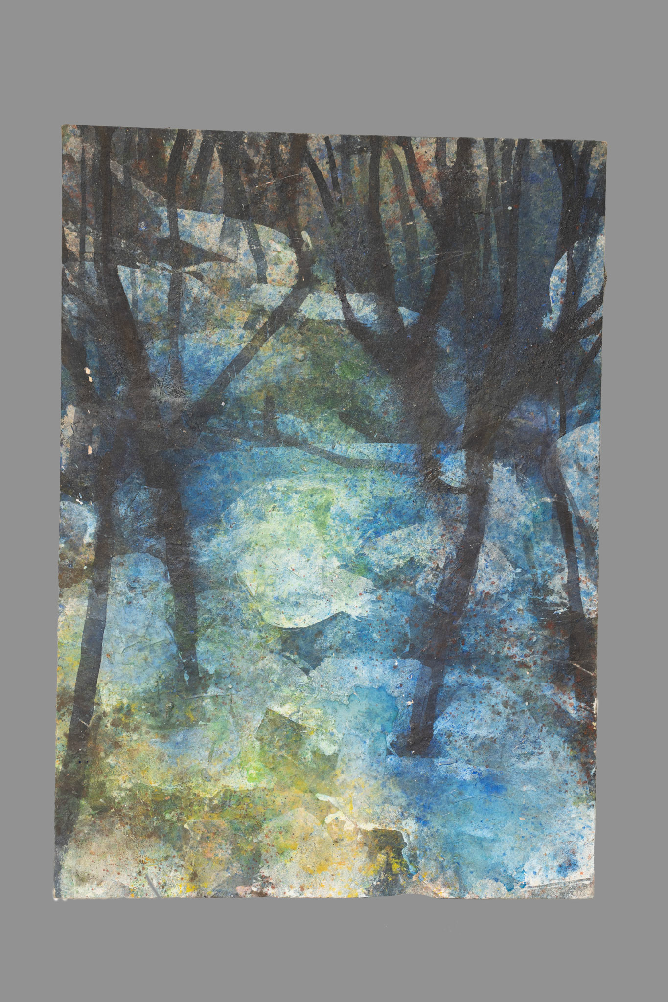 CORAL 147x103 cm 2016