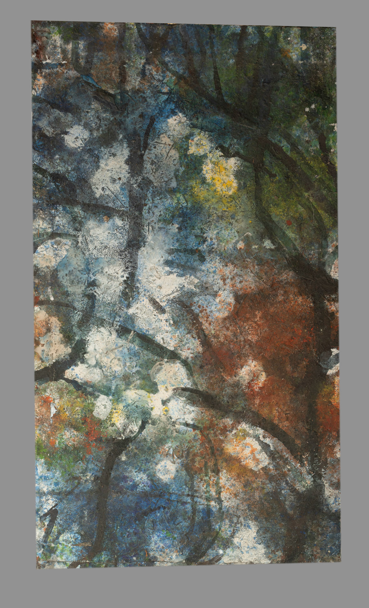 COIGME 188x108 cm 2018