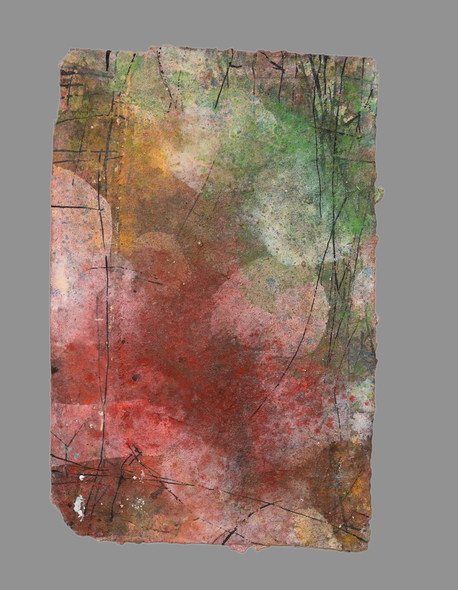 BIBEMUS 88x55 cm 2010