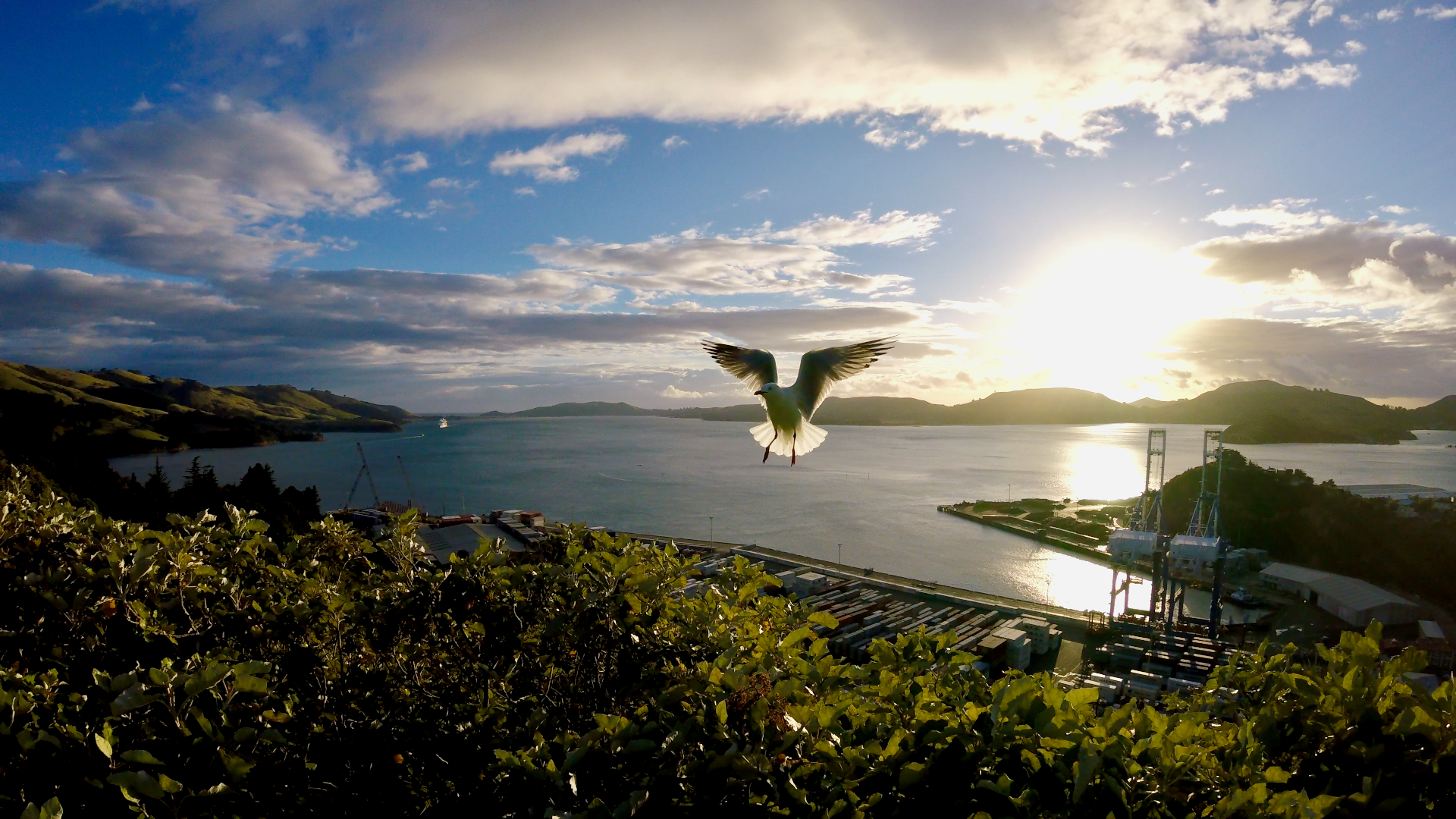 Port Chalmers