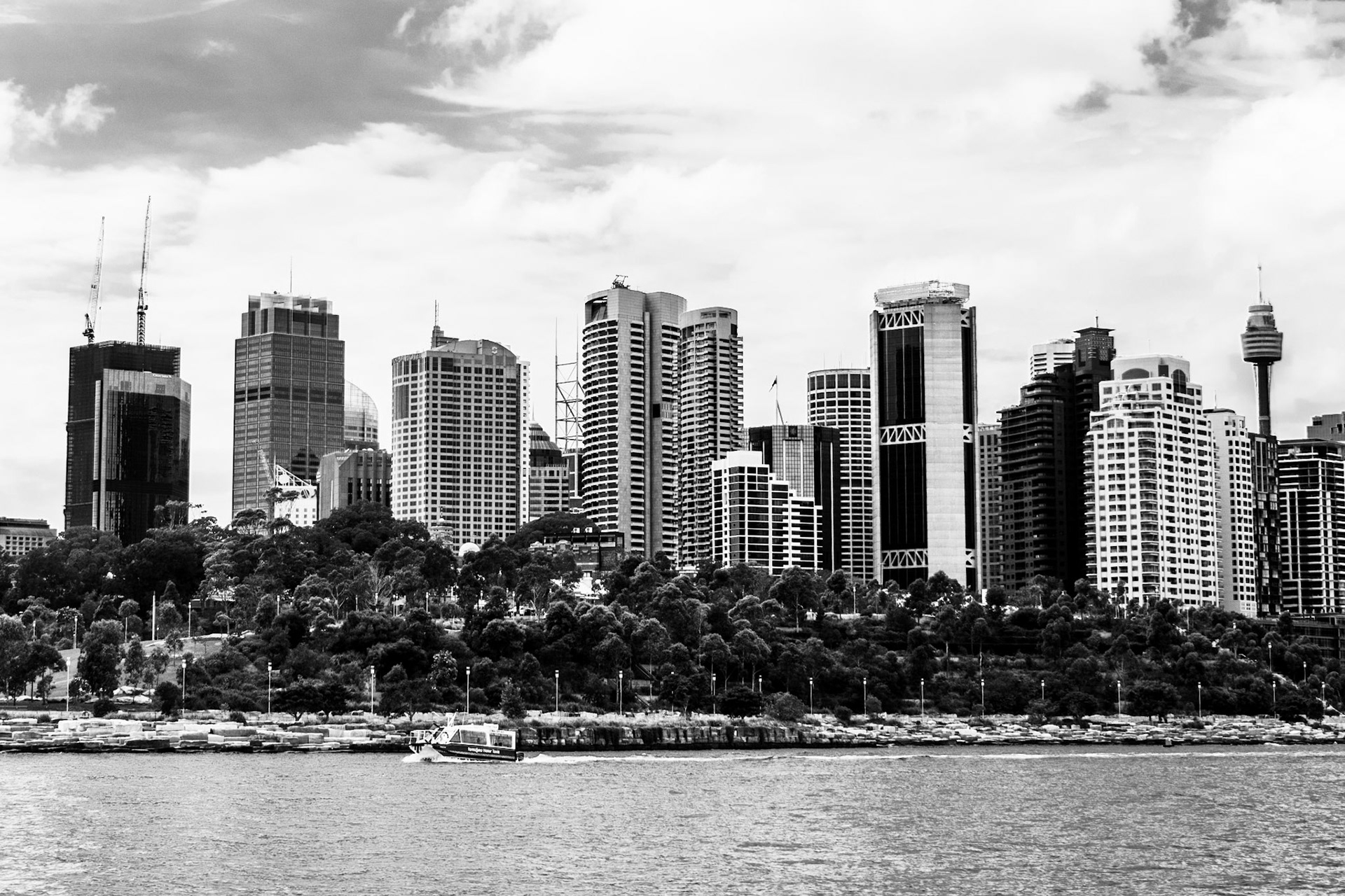 City skyline in Sydney