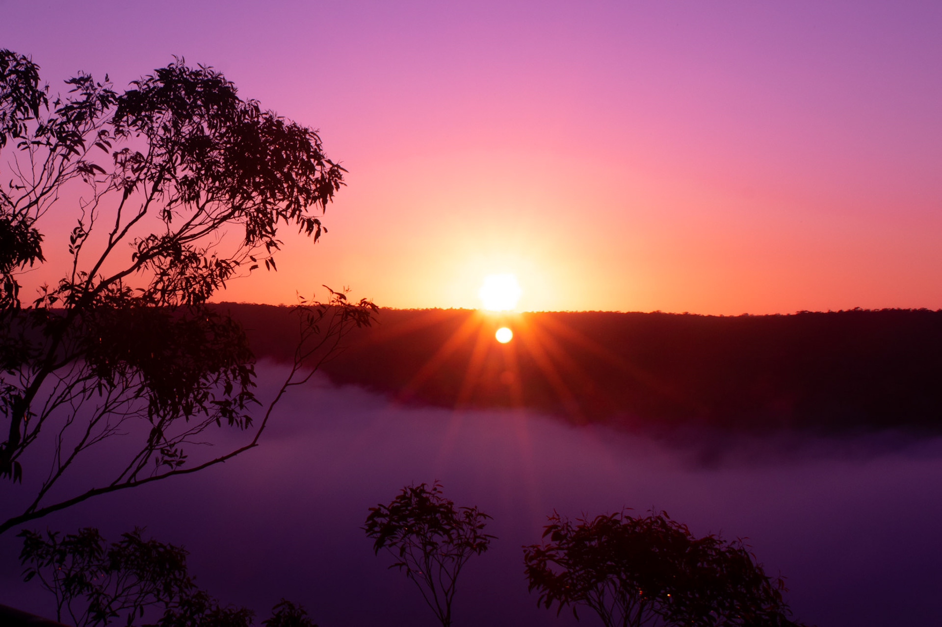 Sunrise over mountains with trees and mist in foreground