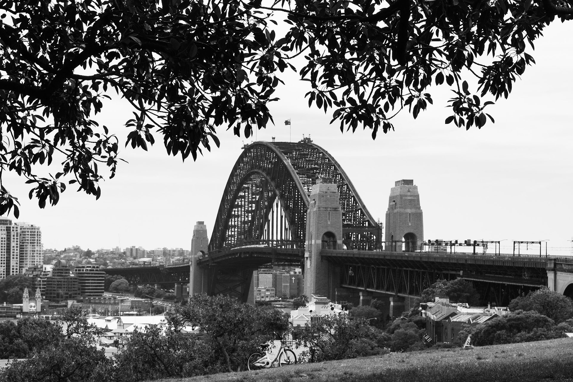 View of Sydney Harbour Bridge from Observatory framed by tree