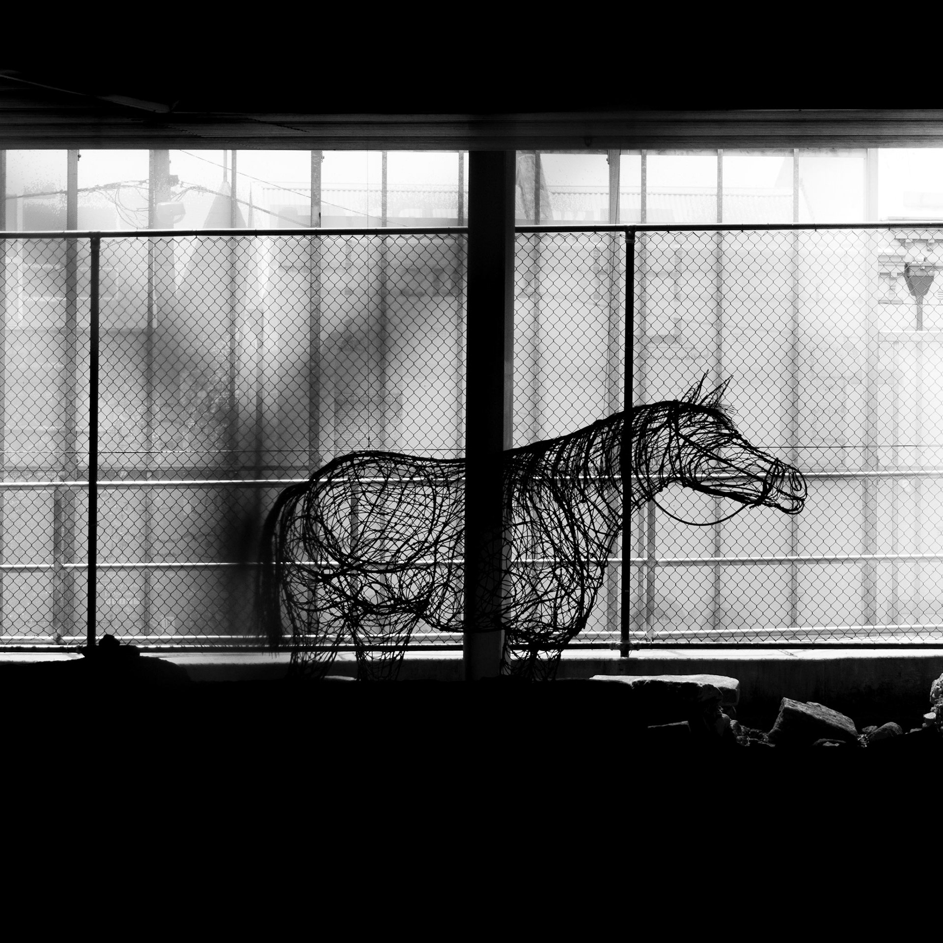 Wire horse in archaeology dig