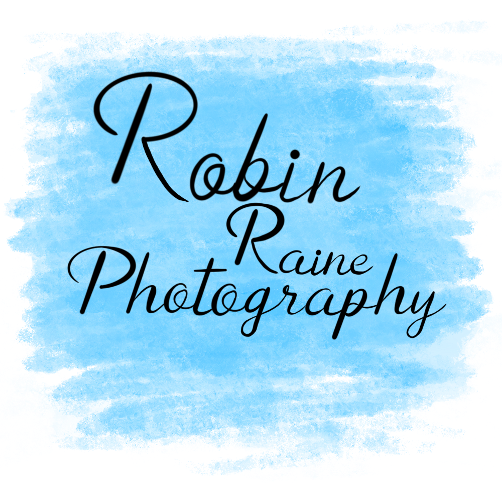 Robin Raine