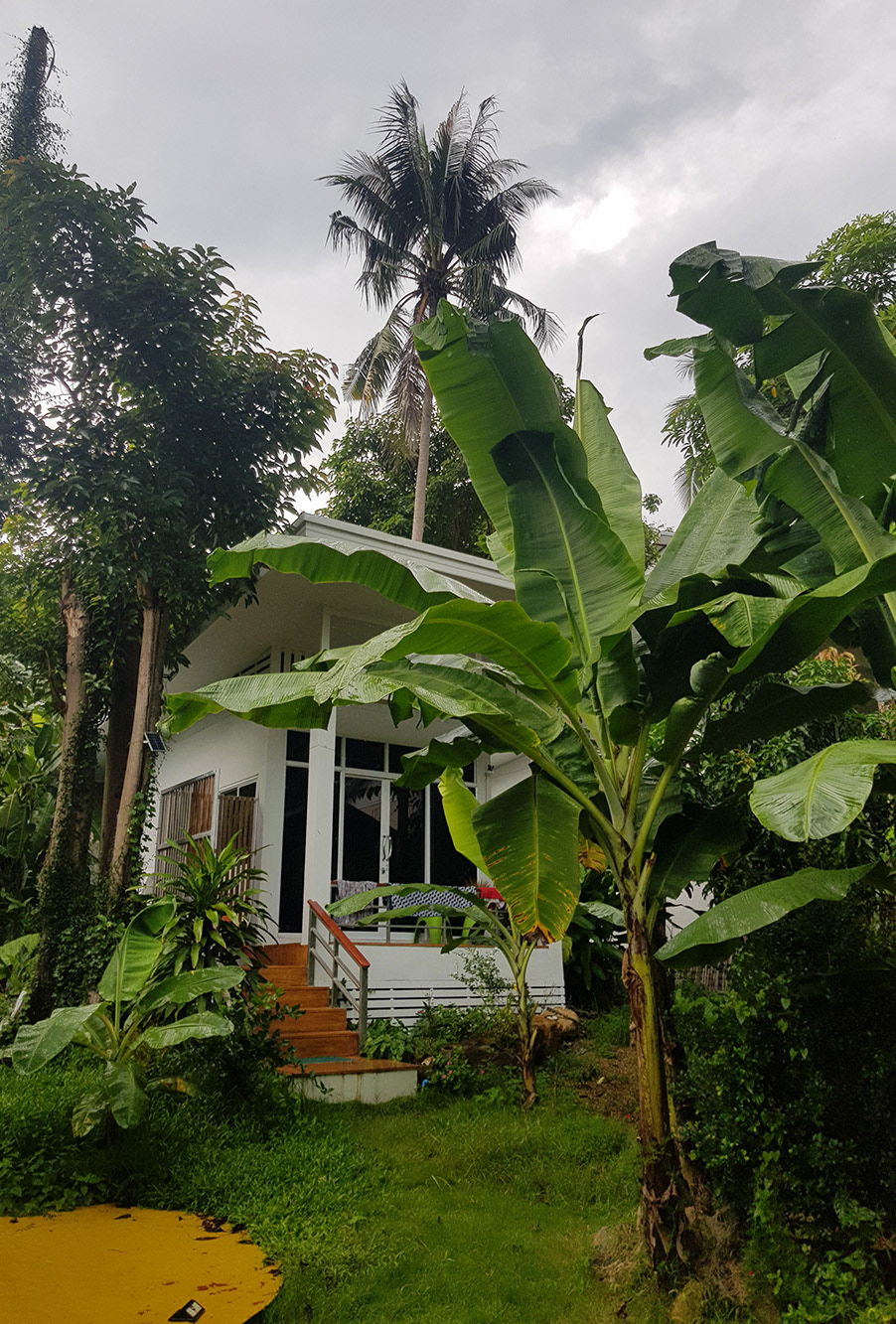 Jungle Beach's Deluxe Bungalow