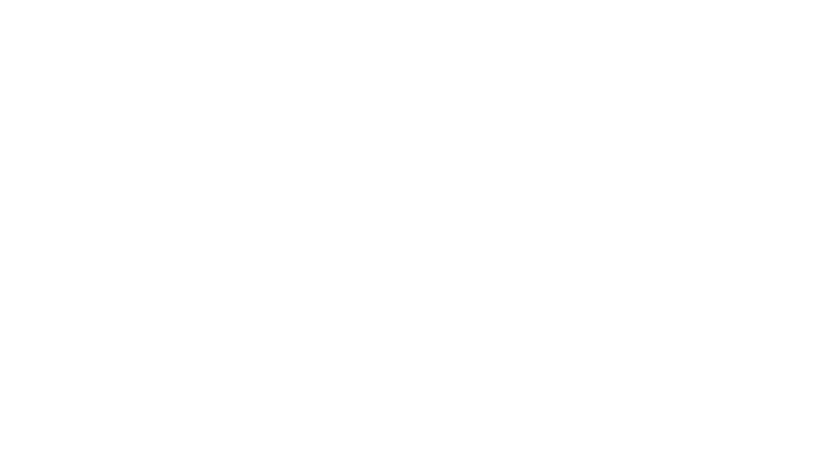 Bruce's Art