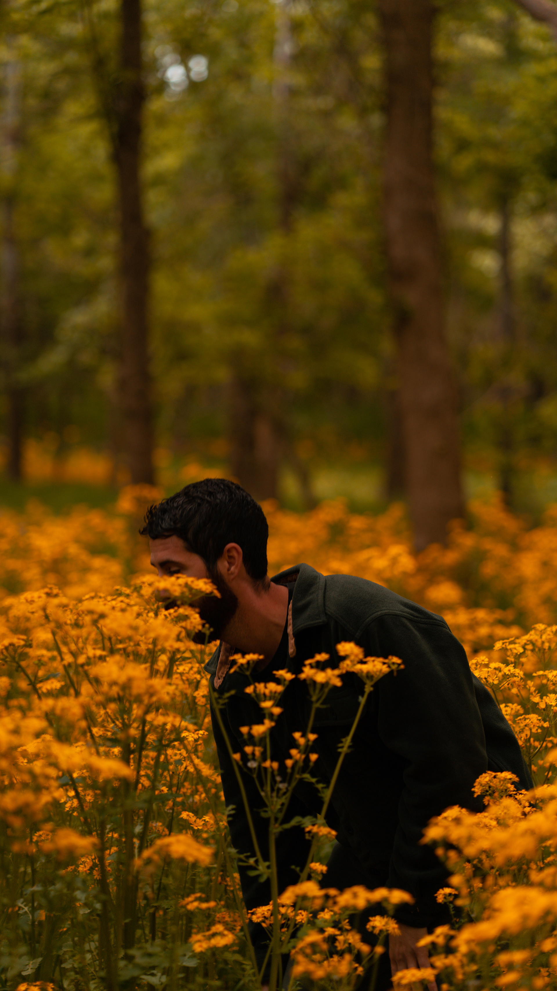 FOUND A FIELD OF FLOWERS