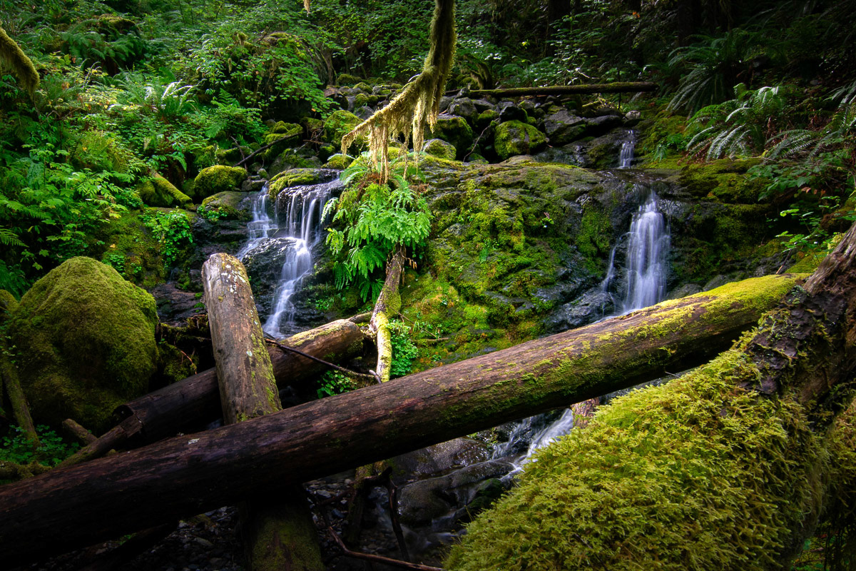 Forest Water Feature