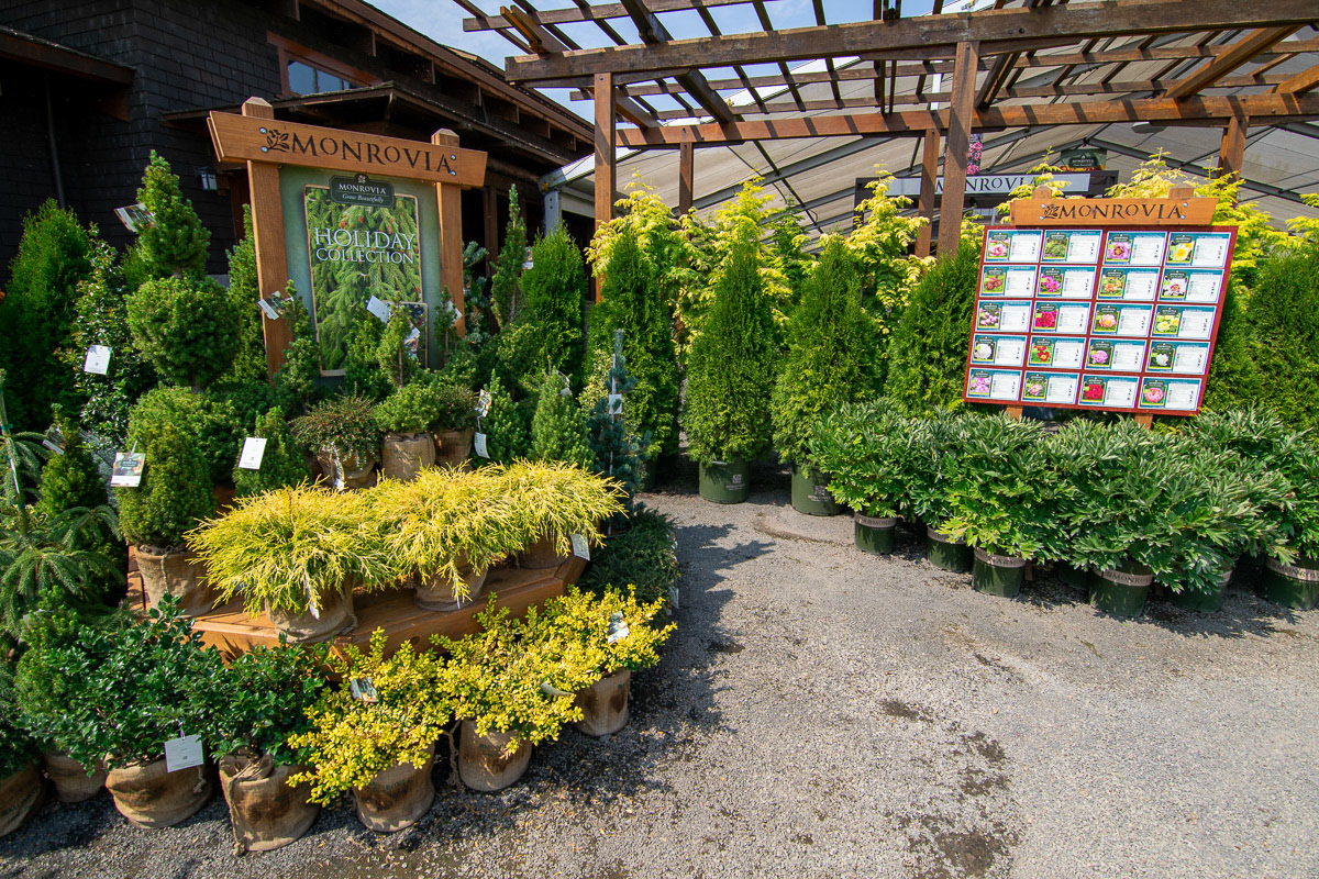 Plant Nursery Display 2
