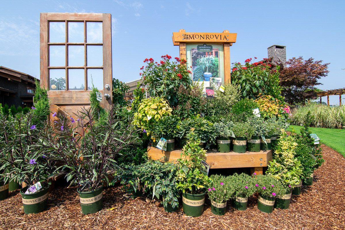 Plant Nursery Display